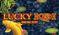 Lucky Koi online pokies real money